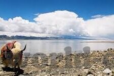 91视频麻豆-追求真实的美，麻豆的多样与挑战